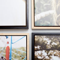 Daisy Floating Frame Set of 4 – foto op hout – Memory Block NL